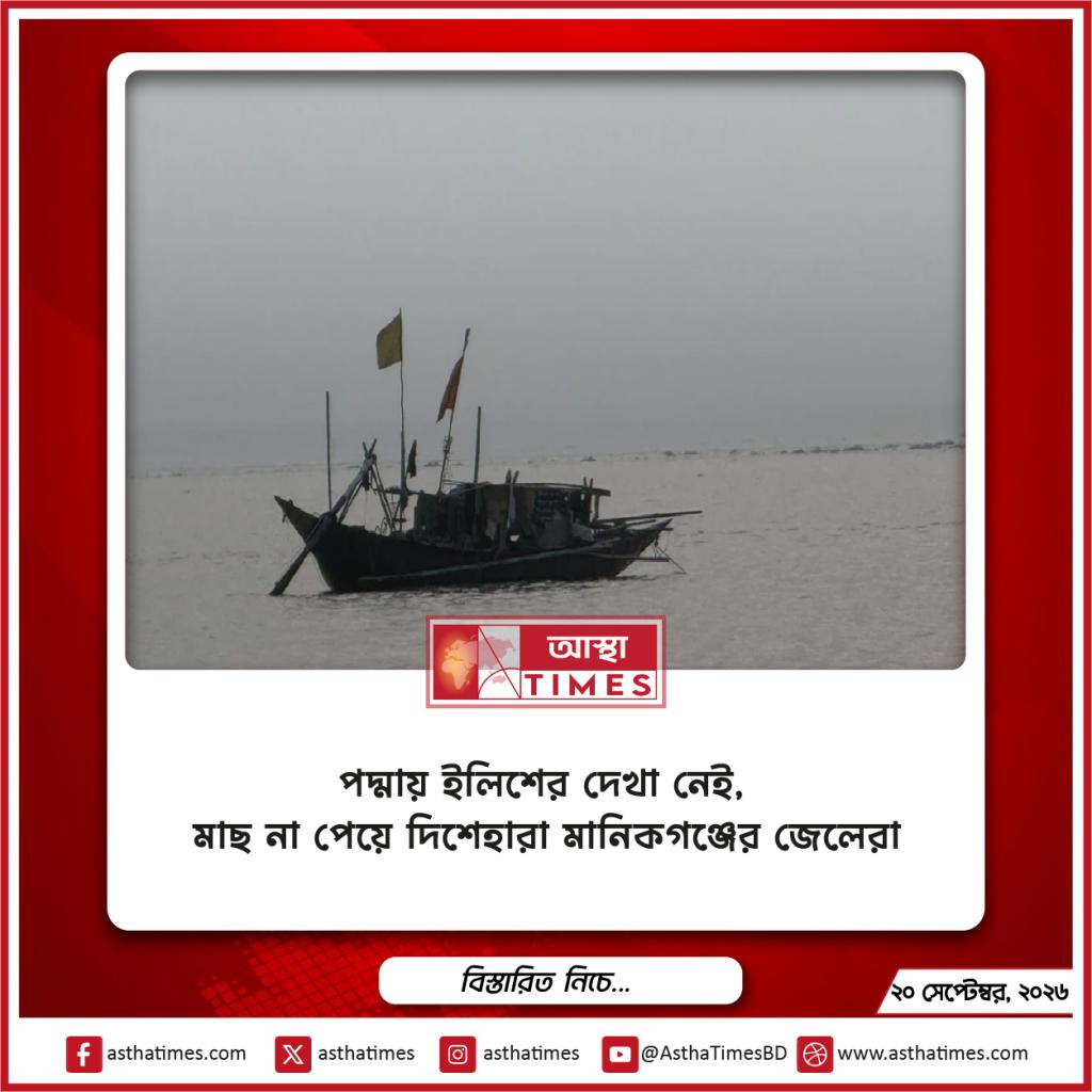 পদ্মায় ইলিশের দেখা নেই, মাছ না পেয়ে দিশেহারা মানিকগঞ্জের জেলেরা