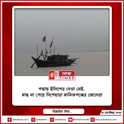 পদ্মায় ইলিশের দেখা নেই, মাছ না পেয়ে দিশেহারা মানিকগঞ্জের জেলেরা
