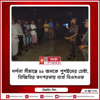 দর্শনা সীমান্তে ১১ জনকে পুশইনের চেষ্টা, বিজিবির তৎপরতায় ব্যর্থ বিএসএফ
