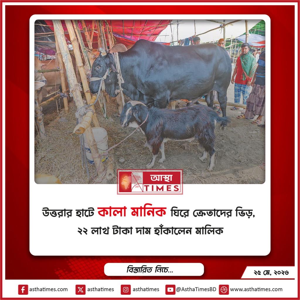 উত্তরার হাটে ‘কালা মানিক’ ঘিরে ক্রেতাদের ভিড়, ২২ লাখ টাকা দাম হাঁকালেন মালিক